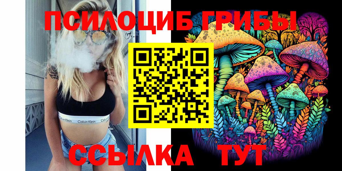 Псилоцибиновые грибы GOLDEN TEACHER Киреевск